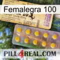Femalegra 100 new06